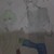 Torikan20 :icontorikan20: