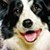 ToriLarssonofficial :icontorilarssonofficial: