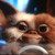 tortorkins :icontortorkins: