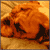 DeviantArt profile picture for @tot on DeviantArt