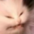 Totally-not-a-cat :icontotally-not-a-cat: