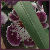 DeviantArt profile picture for @Towards on DeviantArt