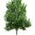 :icontree: