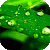trintrin918 :icontrintrin918: