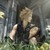 TristanTemplar :icontristantemplar: