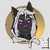 TrollCatGamer :icontrollcatgamer: