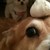 TroubledTrioComic :icontroubledtriocomic:
