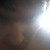 TrueSentient :icontruesentient: