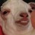 Tsuro :icontsuro: