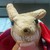 ttanner2448 :iconttanner2448: