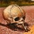 DeviantArt profile picture for @twigs on DeviantArt