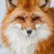 twitchy12345 :icontwitchy12345: