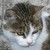 TwoSidesOfTheMoon :icontwosidesofthemoon: