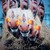 TypicalAddict :icontypicaladdict: