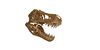 Tyrannosaurids's avatar