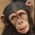 ufinderip :iconufinderip: