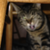 UglyDuckling1207 :iconuglyduckling1207: