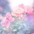 UglyHitomi :iconuglyhitomi: