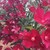 UltimateDrawer410 :iconultimatedrawer410: