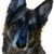 Uly55 :iconuly55: