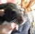 UnearthlyCanine :iconunearthlycanine: