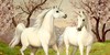 Unicorns-and-Magic's avatar