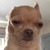 unicross :iconunicross: