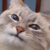 UnwantedArt59 :iconunwantedart59: