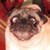 UnwelcomedParties :iconunwelcomedparties: