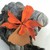 upcycledpetals :iconupcycledpetals: