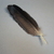 DeviantArt profile picture for @upright on DeviantArt