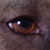 upsidedown-insideout :iconupsidedown-insideout:
