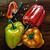 Urashpel :iconurashpel: