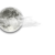 Valkimber :iconvalkimber: