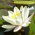 ValorOfLorien :iconvaloroflorien: