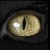 VampireIllusion :iconvampireillusion:
