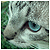 Vampirelf :iconvampirelf: