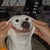 Vandaalis :iconvandaalis: