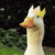 VegetalXS :iconvegetalxs: