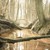 Veluwewood :iconveluwewood:
