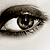 venus-in-tears :iconvenus-in-tears: