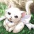 Veronicaaser :iconveronicaaser: