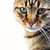 Victor-Charles :iconvictor-charles: