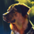 :iconvictortienyu: