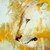 Vigdys :iconvigdys: