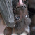 Vladiimyr :iconvladiimyr: