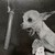 vleet :iconvleet: