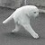 VonHollde :iconvonhollde: