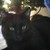 vonliam0802 :iconvonliam0802:
