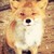 Vulp3s :iconvulp3s: